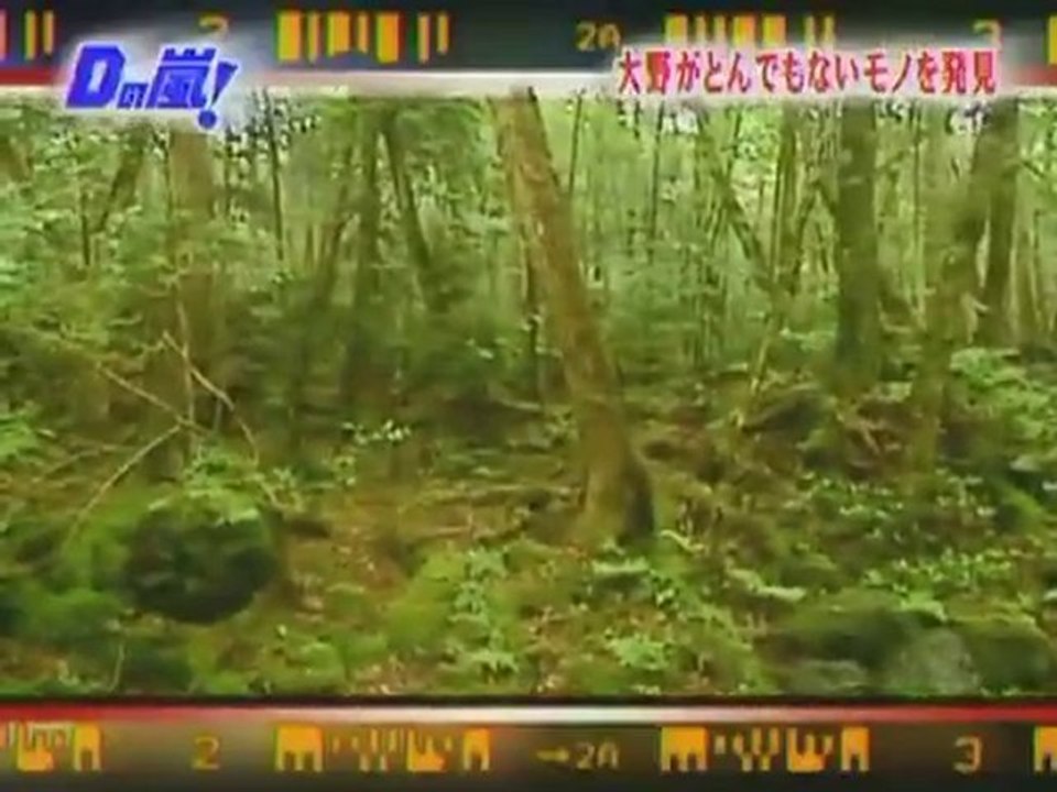 D (Ep 01)1