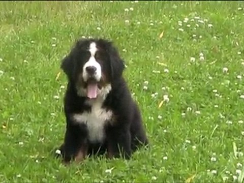 Frimousse 3 mois 004