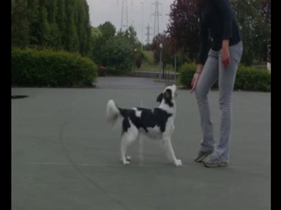 09juin2010