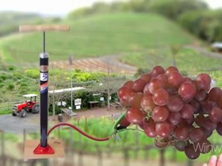 Wijn - Wijnwijs in 60 seconden - aflevering 4 karakterwijnen