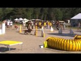 agility trophée scc 5 juin déclik