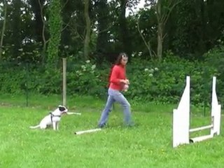 Jumping straight line equal distance