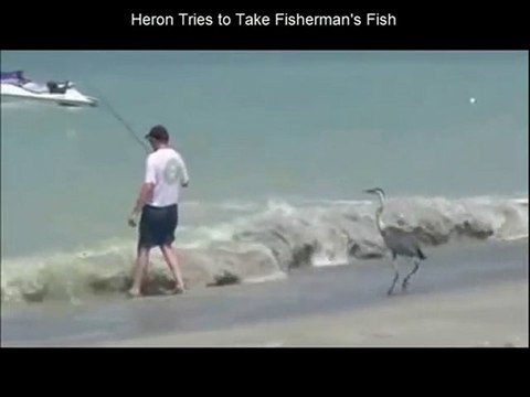 Miracle Series - BigGyan Cloud eLearning