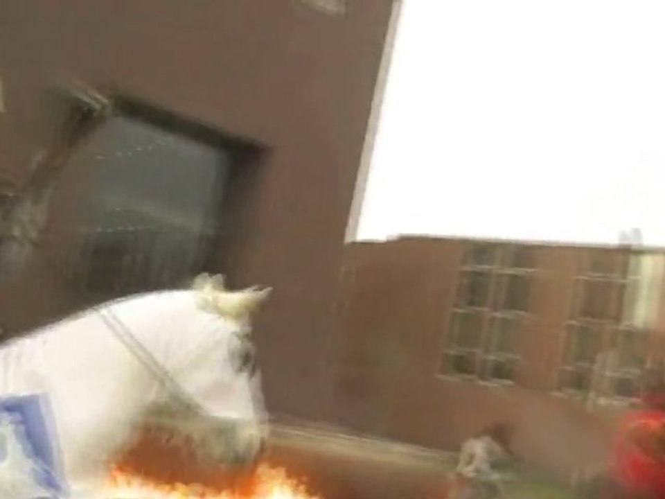 Dreamj video. public. relations. film werbetrailer