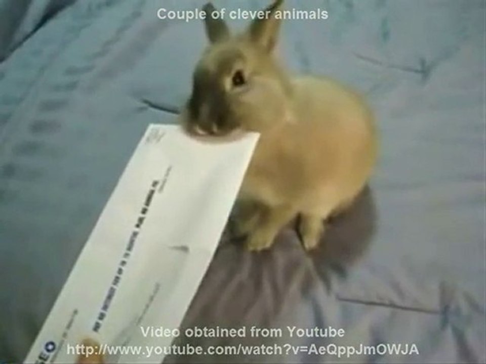 Miracle Series - BigGyan Cloud eLearning