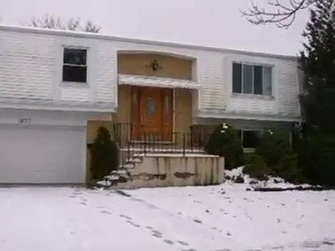 Homes for Sale - 1833 W Locust Ln - Mount Prospect, IL 60056