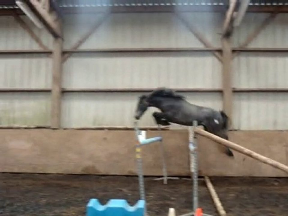 TEXTO MAD SAUT EN LIBERTE