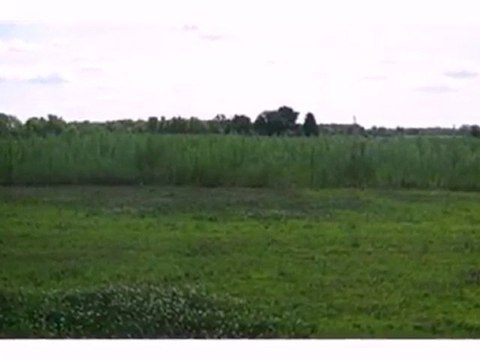 Homes for Sale - 0 Meadow Ln - Wheatfield, IN 46392 - Coldwe