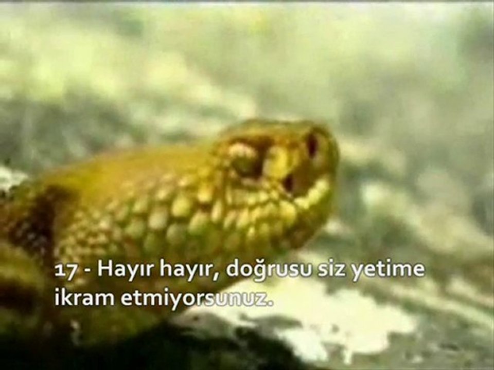 KUR'ANI KERİM-Fecr Suresi Ahmed El Acmi