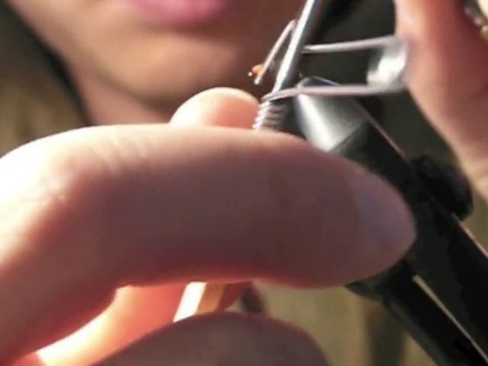 Vidéo montage nymphe vautour tête orange CLERGETBLOG