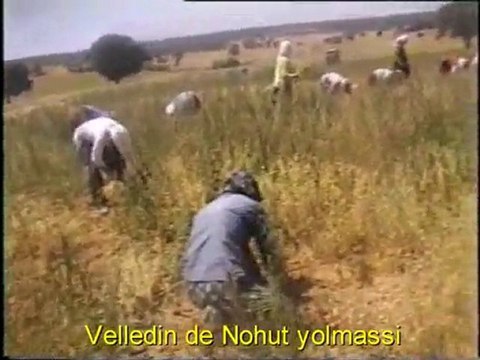 USAK BANAZ Sabankoy Velledin Nohut Yolma