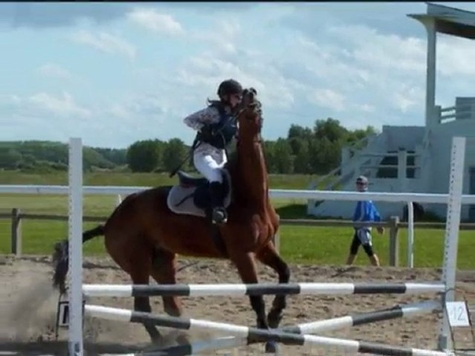 bétisier équestre 62