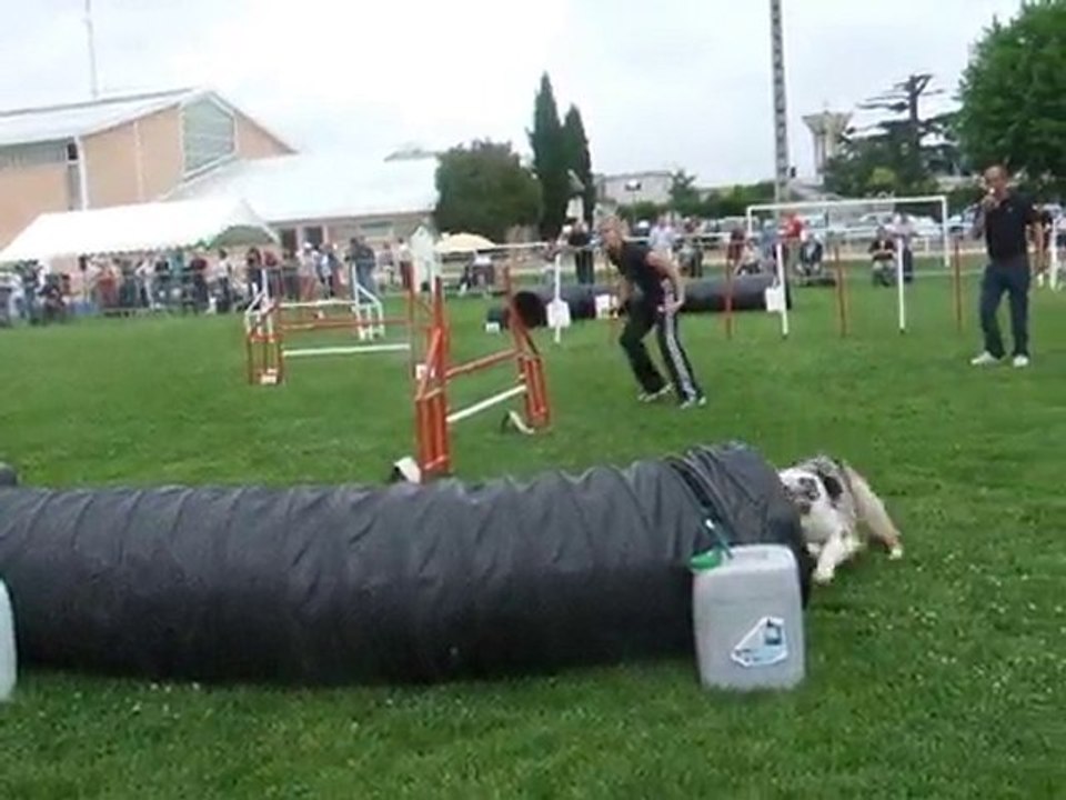 Swanny Jump IPAC 2010