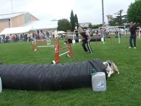 Swanny Jump IPAC 2010