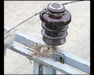 ANA ŞEFKATİ www.haber11.net