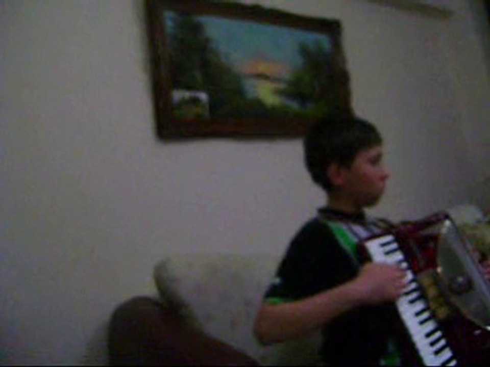 Şamil Şirin Akordeon-2