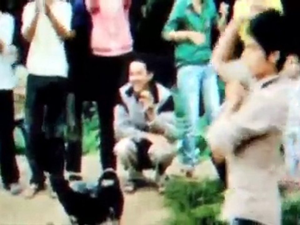 Hymne Mondial 2010 Feat Grand Corps Très Très Très Malade