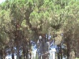 Çanakkale 57. Alay - Tabyalar - Gallipoli 57 Regiment forts