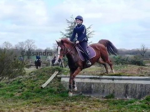 Les Filles De l'equitation Les Meilleurs
