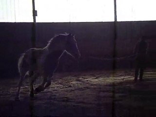 Séances à pied de l'hiver 2009