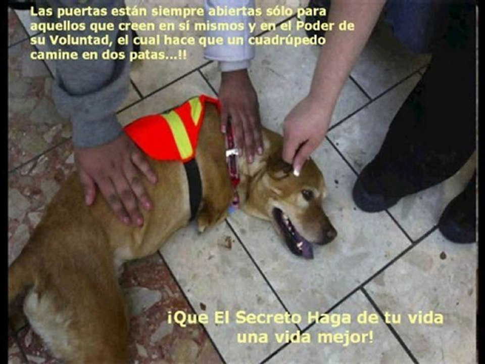 66 El video de rhonda byrne hizo famoso a el secreto,