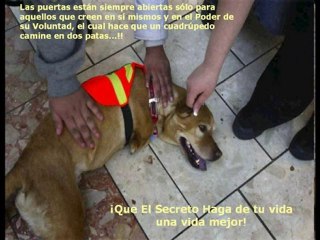 66 El video de rhonda byrne hizo famoso a el secreto,