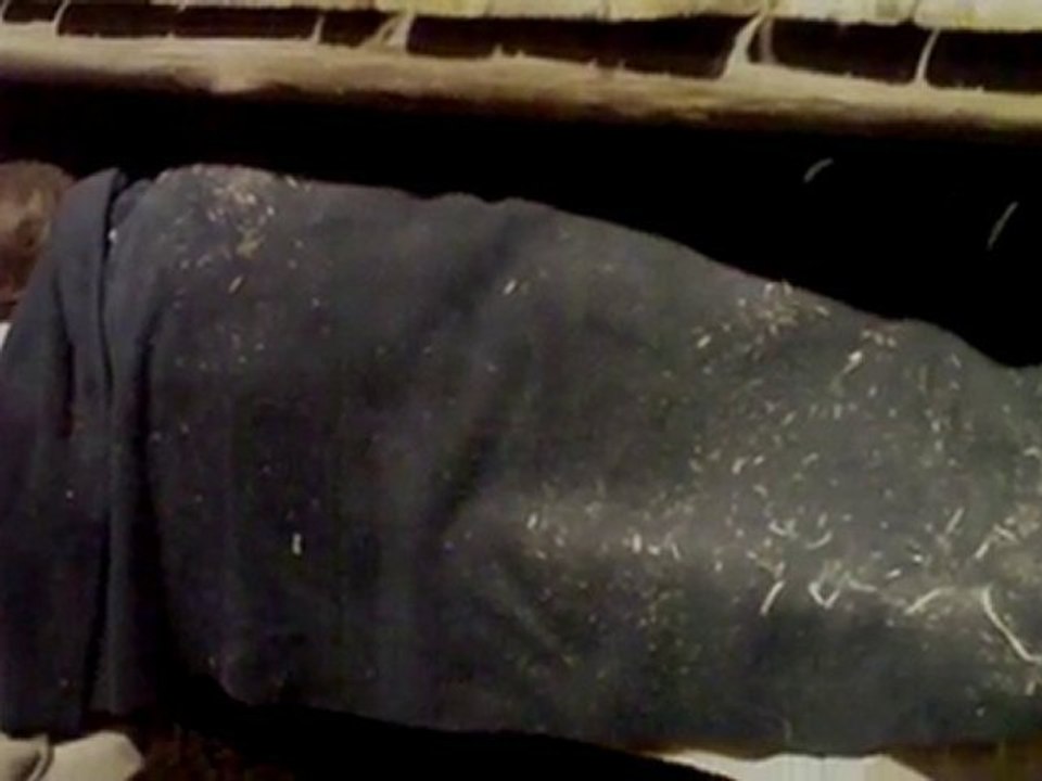 Musée Donald W. Reynolds 2