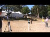 agility trophée scc 5 juin chweeps