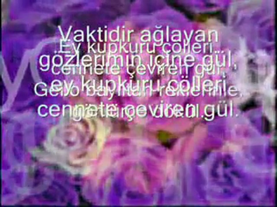 Medine Gülü... - D. Ali Erzincanlı