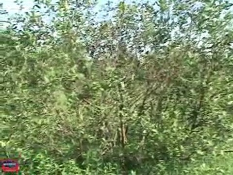 Maine 80 Acres Of Land For Sale With Cabin,Brook..$50's!