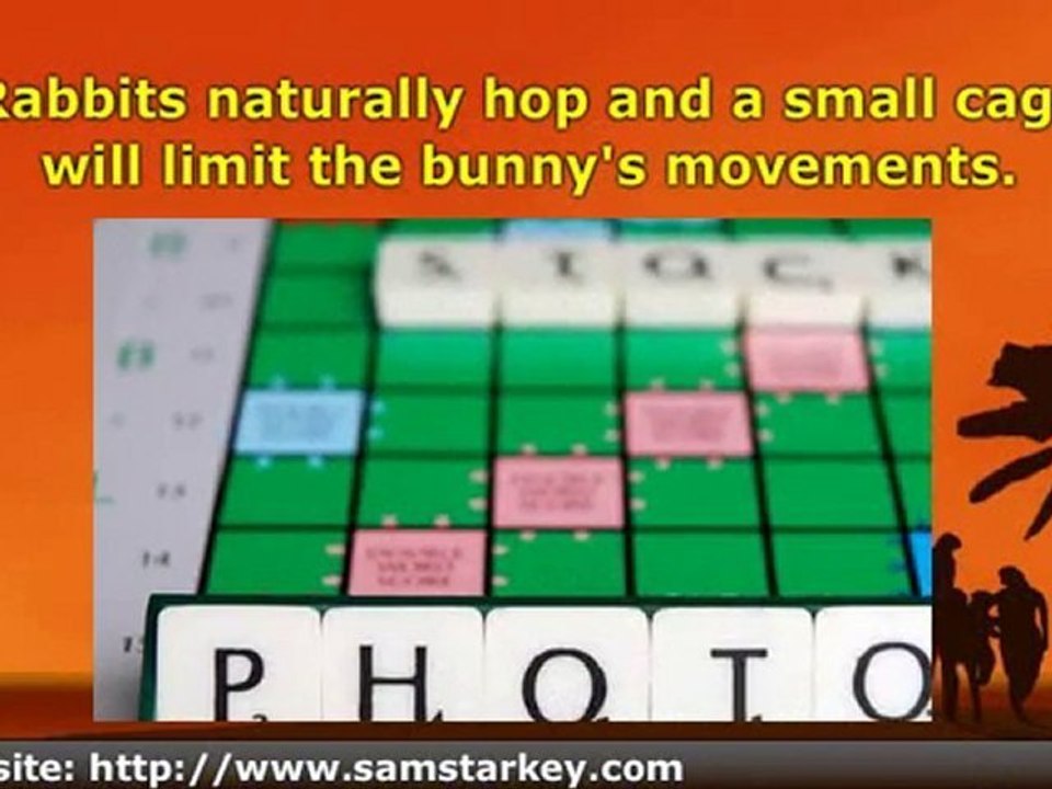 Large Rabbit Cages - 3 Ways They Can Benefit Your Rabbit