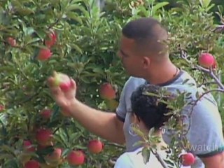 Travel Guide: Connecticut - Activities