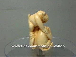 mammoth ivory animal netsuke Three Monkeys N3024
