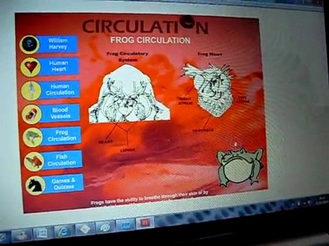 Harry DUCE Usability Test Part 2