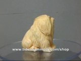 mammoth ivory animal netsuke Crouching Dog N3014