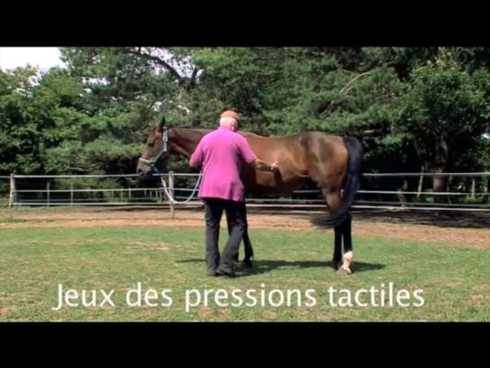 DVD " Education du cheval " de Stéphane Bigo  - Extraits 4:3