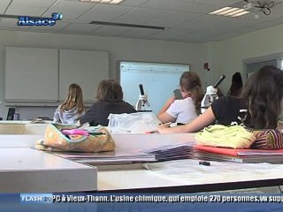 Ecole Numérique : Fini la craie, et vive les ordis !