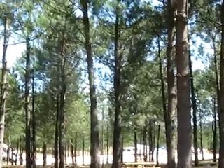 Cimlalılar Piknik Alanı Görüntüleri