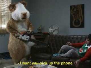 Pub : un hamster se rebelle contre le Mondial de foot