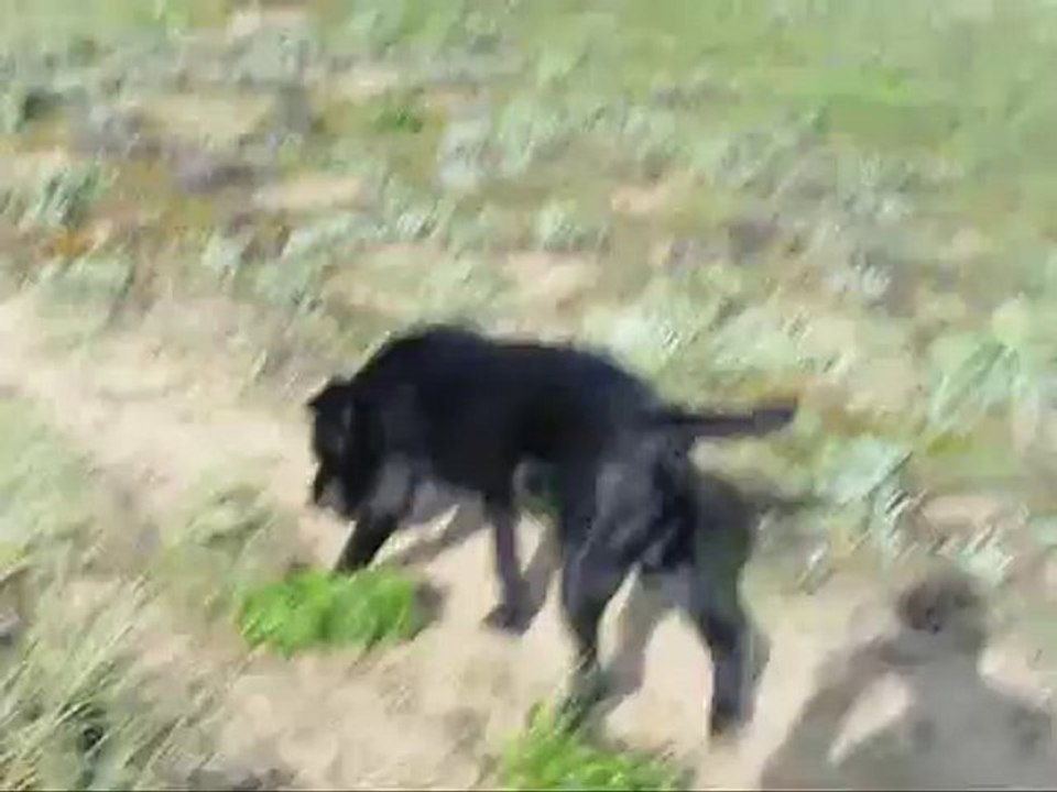 éole ballade le 11 06 2010 video