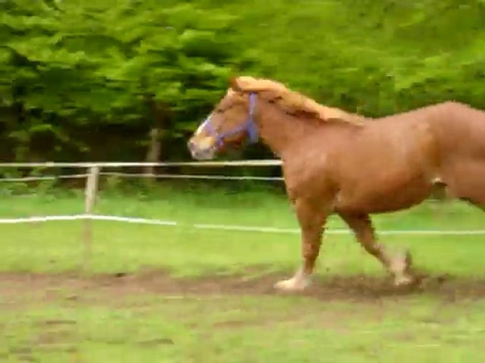 Onyx gros délire ^^