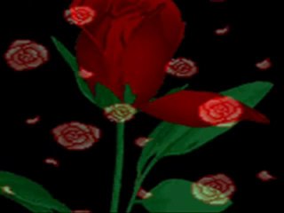 nevroz21  fidan Gitme Turnam Kürtçe ..... [fero]