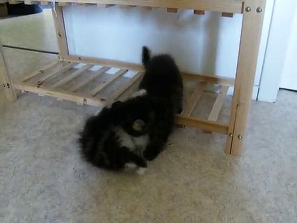 Jeu entre frère et soeur