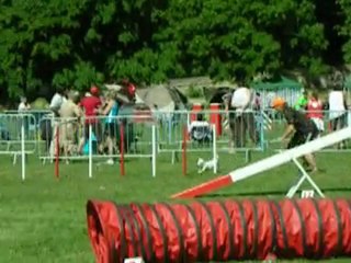 tgr miramas A1 vodka