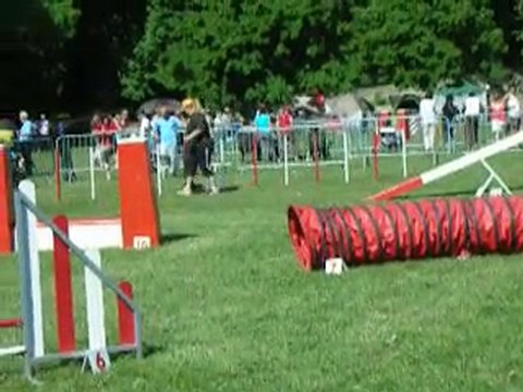 tgr miramas A1 bambou