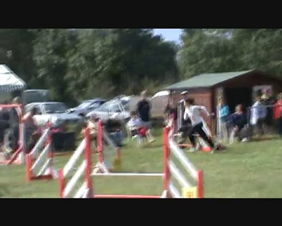 City 10ème Concours Agility