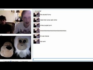 Jethro and Jeffrey 1 Monkey Chat - Improv funny chatroulette