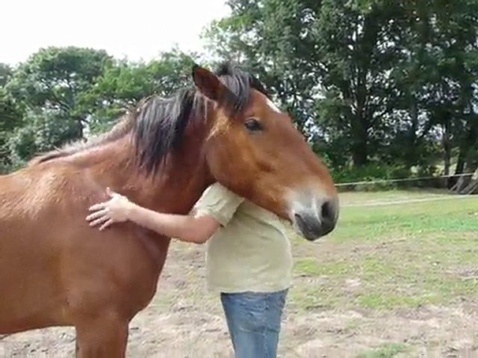 unter et guillaume