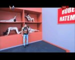 Rober Hatemo - Hurra [YENI KLIP 2010]