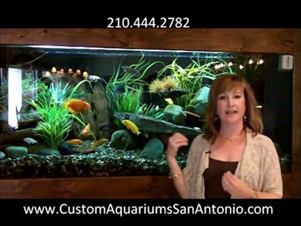 Listen To This Customer Rave About Her San Antonio Aquarium